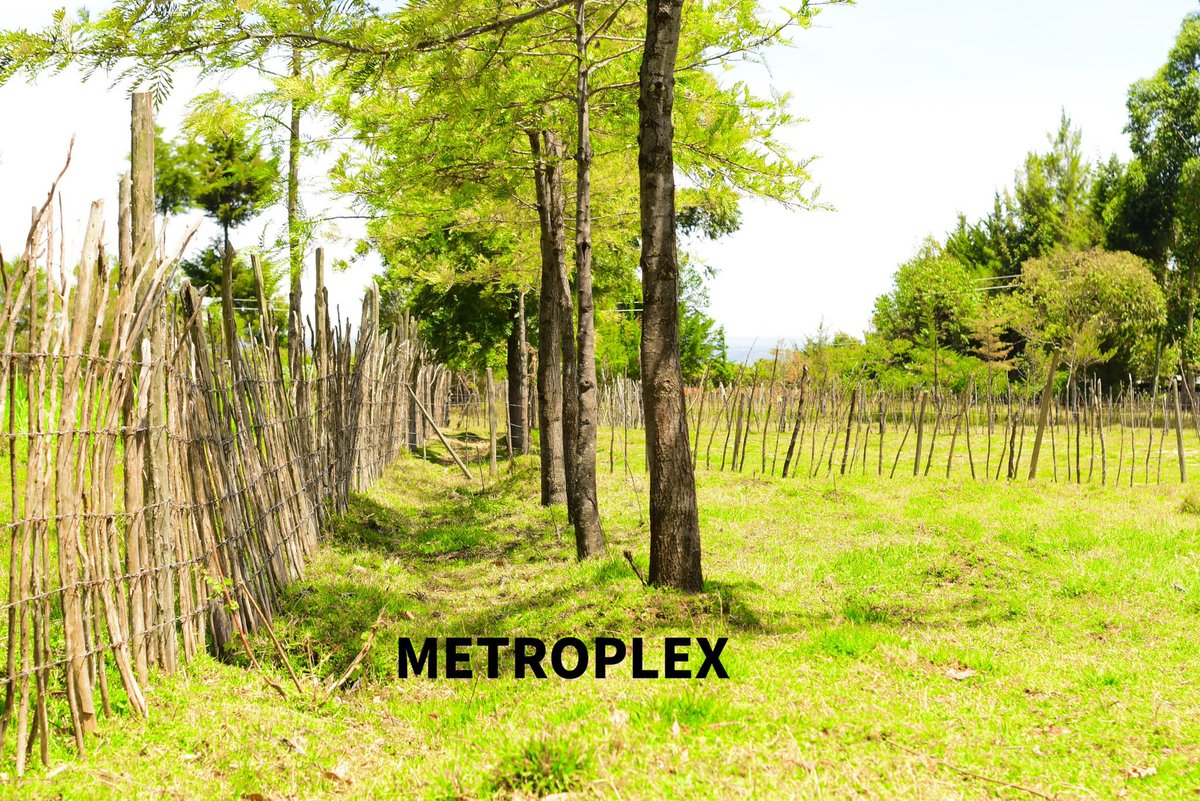MetroplexPrope1's tweet photo. 𝟯.𝟱 𝗔𝗖𝗥𝗘𝗦 𝗣𝗥𝗜𝗠𝗘 𝗔𝗥𝗔𝗕𝗟𝗘 𝗔𝗚𝗥𝗜𝗖𝗨𝗟𝗧𝗨𝗥𝗔𝗟/𝗥𝗘𝗦𝗜𝗗𝗘𝗡𝗧𝗜𝗔𝗟 𝗟𝗔𝗡𝗗 𝗙𝗢𝗥 𝗦𝗔𝗟𝗘 𝗜𝗡 𝗖𝗛𝗘𝗣𝗦𝗘𝗢𝗡,𝗞𝗘𝗥𝗜𝗖𝗛𝗢
It is located approximately 1km from Chepseon town
Has a Ready Title Deed
Selling at 9.5m,slightly negotiable
Call 0704123768 https://t.co/sP2xAPk1e2