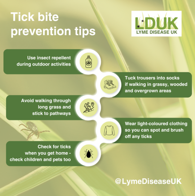 <a href="/BBS_birds/">Breeding Bird Surveys</a> starts next week! Whether it is out doing surveys, or just on a spring walk, remember to guard against tick bites! #TickAwarenessWeek