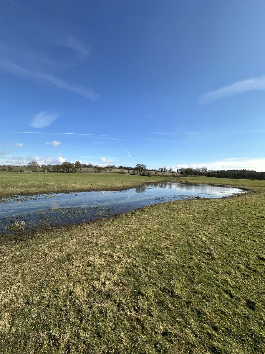 HelenIbbott's tweet image. ..
📱🎞️💧☀️🌼🌸🥾

Spring is here! 

Sunshine, crystal clear chalk streams, blue skies, primrose and Lenten rose.

#VillageLife 🫶🏼
#SpringIsHere 🪴