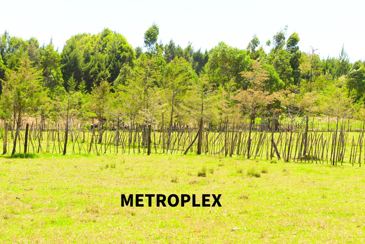 MetroplexPrope1's tweet photo. 𝟯.𝟱 𝗔𝗖𝗥𝗘𝗦 𝗣𝗥𝗜𝗠𝗘 𝗔𝗥𝗔𝗕𝗟𝗘 𝗔𝗚𝗥𝗜𝗖𝗨𝗟𝗧𝗨𝗥𝗔𝗟/𝗥𝗘𝗦𝗜𝗗𝗘𝗡𝗧𝗜𝗔𝗟 𝗟𝗔𝗡𝗗 𝗙𝗢𝗥 𝗦𝗔𝗟𝗘 𝗜𝗡 𝗖𝗛𝗘𝗣𝗦𝗘𝗢𝗡,𝗞𝗘𝗥𝗜𝗖𝗛𝗢
It is located approximately 1km from Chepseon town
Has a Ready Title Deed
Selling at 9.5m,slightly negotiable
Call 0704123768 https://t.co/sP2xAPk1e2