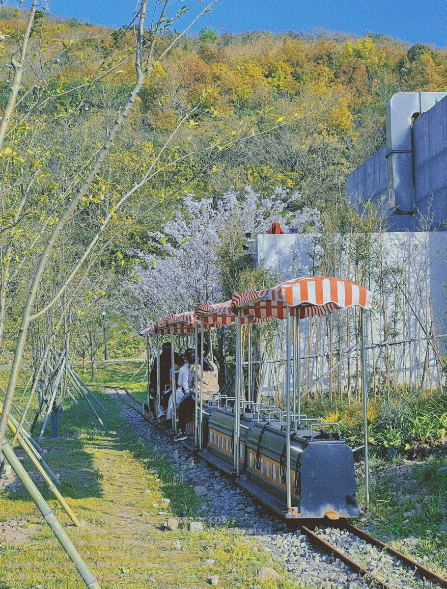 jjerjin's tweet photo. 🌿 Spring afternoon, Daisen on the boat jump, meet a small fortune 👭
Sunbathing on the grass, chatting and laughing ~ #SpringDaily #ShootingBeautyOnHand https://t.co/a9kGEItGvr