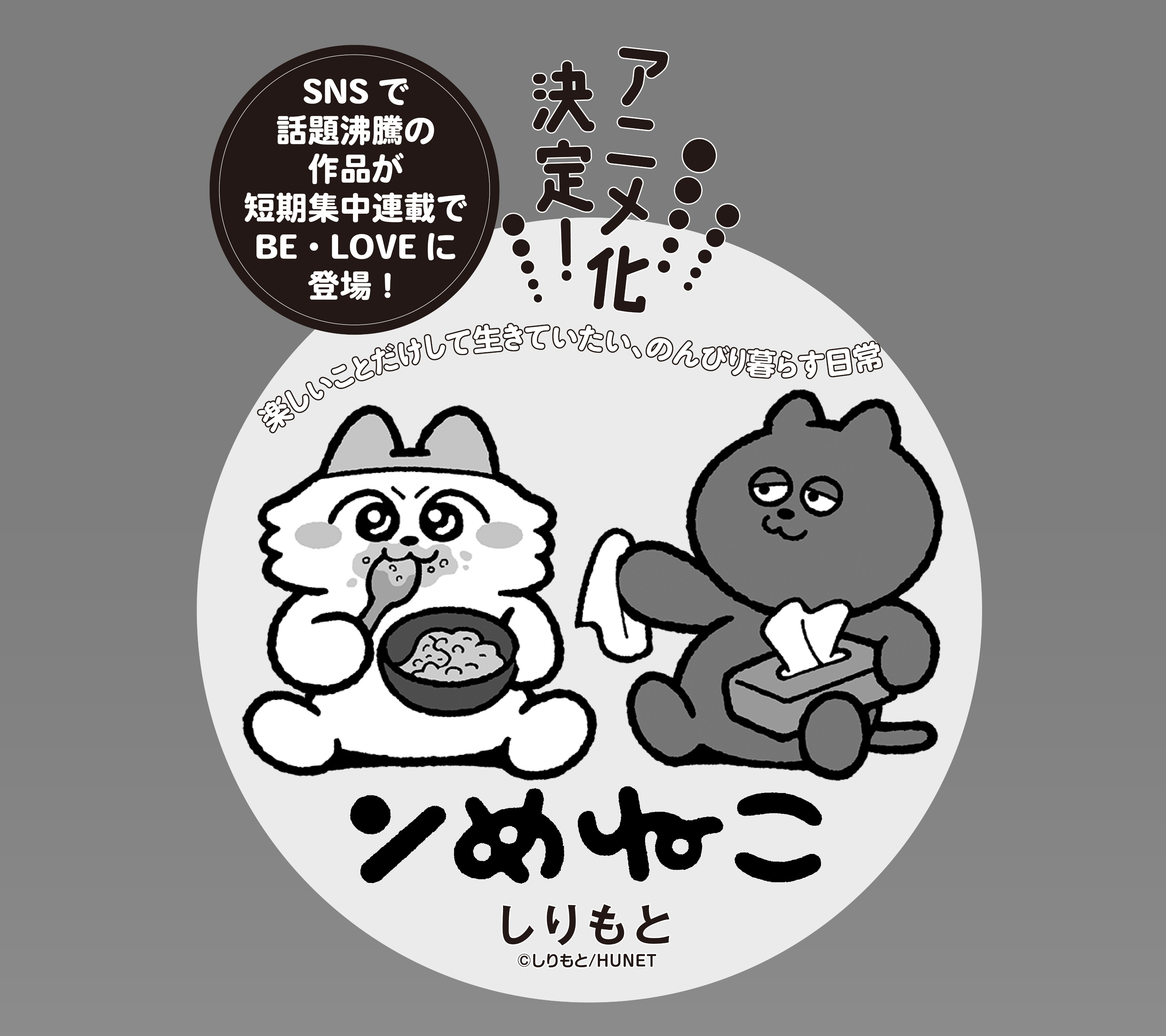 ンめねこ【グッズ公式】 (@nmeneko_goods) / X ンめねこ【グッズ公式】 (@nmeneko_goods) / X