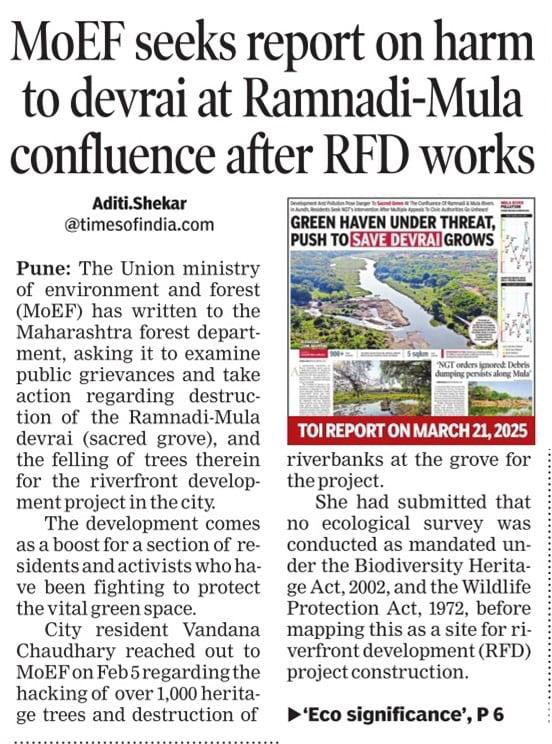 vandymini's tweet image. 🌳Grateful to @moefcc &amp;amp; @MahaForest for taking action on my appeal to save Ramnadi-Mula Devrai #forest. Hoping that the last Devrai of #Pune forever stands tall! #SaveRamMulaDevrai

@Dev_Fadnavis @NaikSpeaks @KVSinghMPGonda @byadavbjp
timesofindia.indiatimes.com/city/pune/subm…… via
@Aditi_Shekar