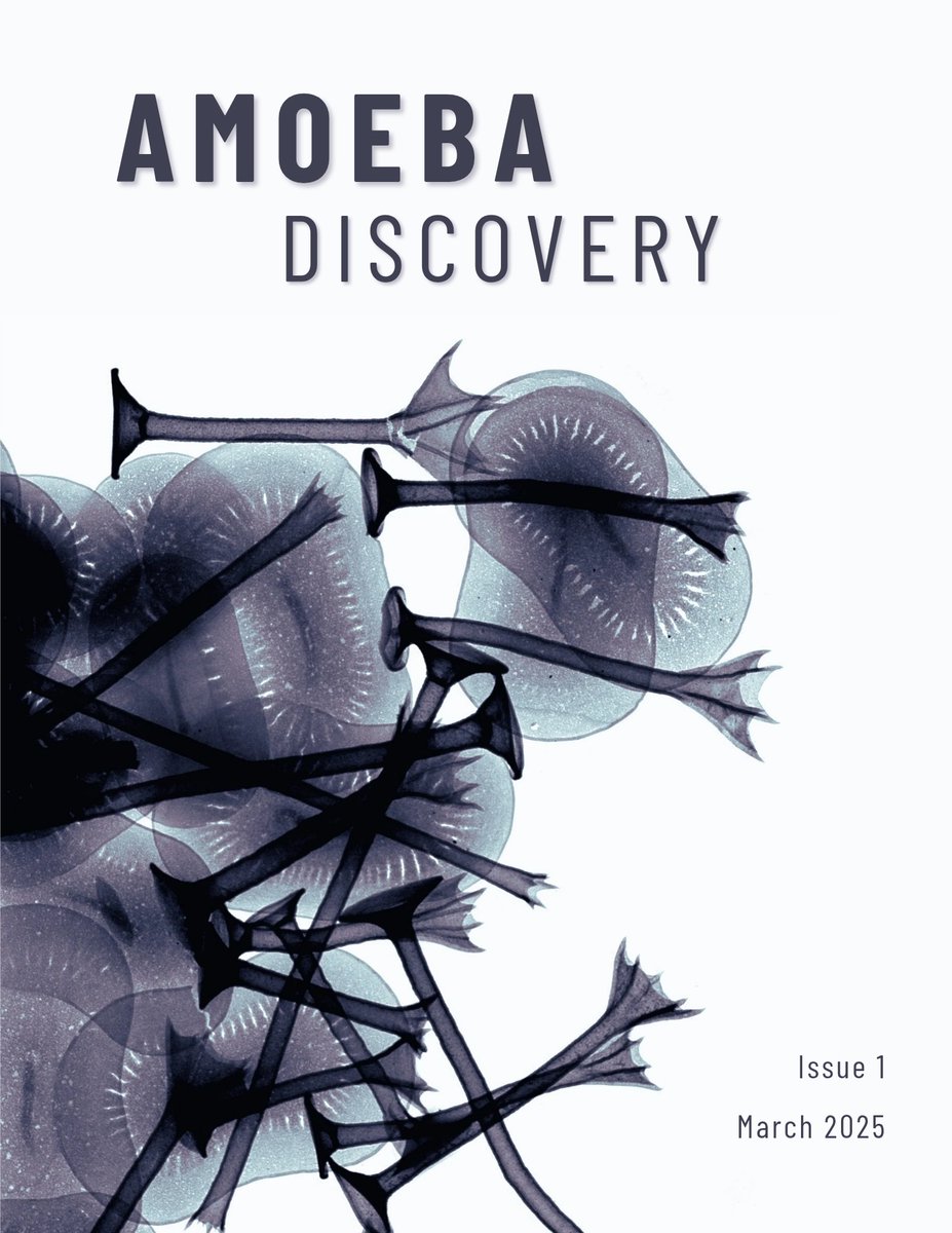 Vasily Zlatogursky (@zlatogursky) on Twitter photo <a href="/amoebadiscovery/">Amoeba Discovery 🔬</a> made an iteresting interview with me about #heliozoa and #centrohelids - I think these organisms are really important, understudied and gorgeous 😍 Also lots pf other intresting reading and beatiful pictures! link: tinyurl.com/adiscovery1 <a href="/amoebadiscovery/">Amoeba Discovery 🔬</a> made an iteresting interview with me about #heliozoa and #centrohelids - I think these organisms are really important, understudied and gorgeous 😍 Also lots pf other intresting reading and beatiful pictures! link: tinyurl.com/adiscovery1