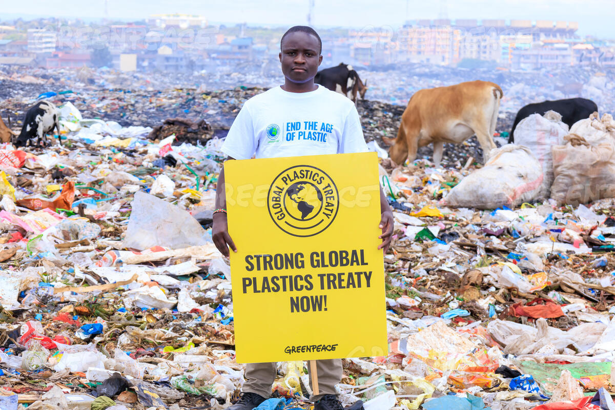 Stephenstephano's tweet image. Refill models offer a viable alternative to single-use––providing more durable options that can be used multiple times.
pages.greenpeaceafrica.org/global-plastic…
#RefillReuseRocks
#ZeroWasteAfrica
#BreakFreeFromPlastics