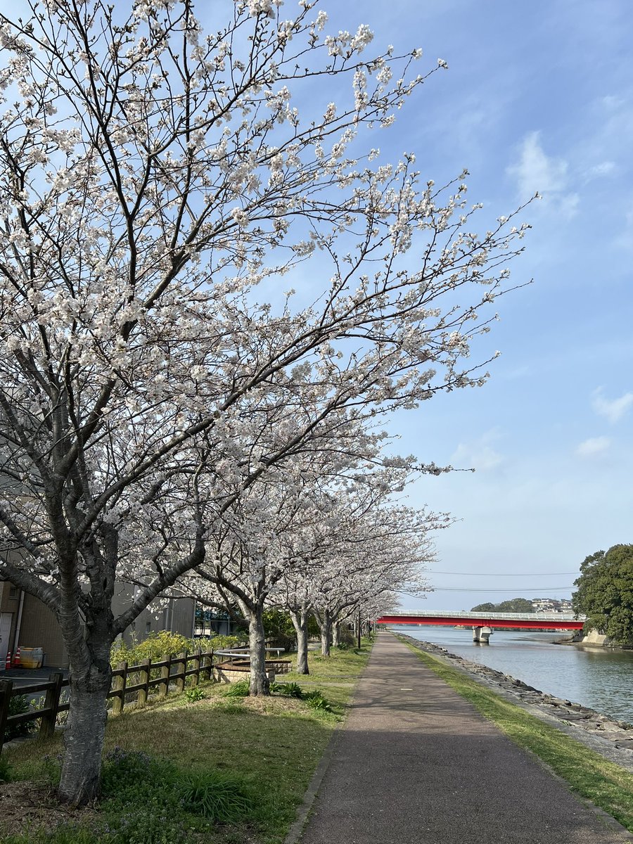 kita_chifuku's tweet photo. 【🌸琴海さくらMAP完成🌸】
村松小学校区まちづくり協議会と明誠高校美術部の皆さんがコラボ制作❗️
掲示場所👀
◯琴海地域センター
◯村松小学校のフェンス
◯戸根公民館そば
◯明誠高校

琴海地区のさくら散策にご活用ください✨

やすらぎの小径👀
見頃を迎えています🌸 https://t.co/Vtfi9Hi3DU