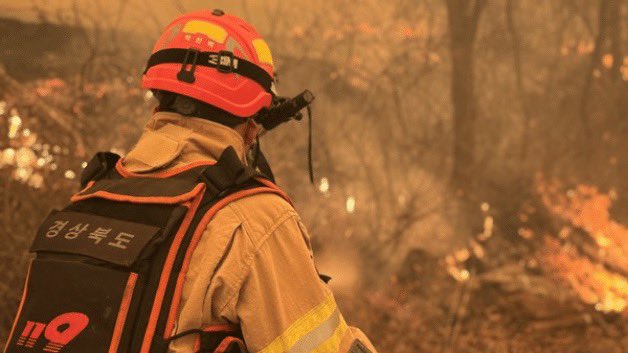 Ryan Chow tweet media