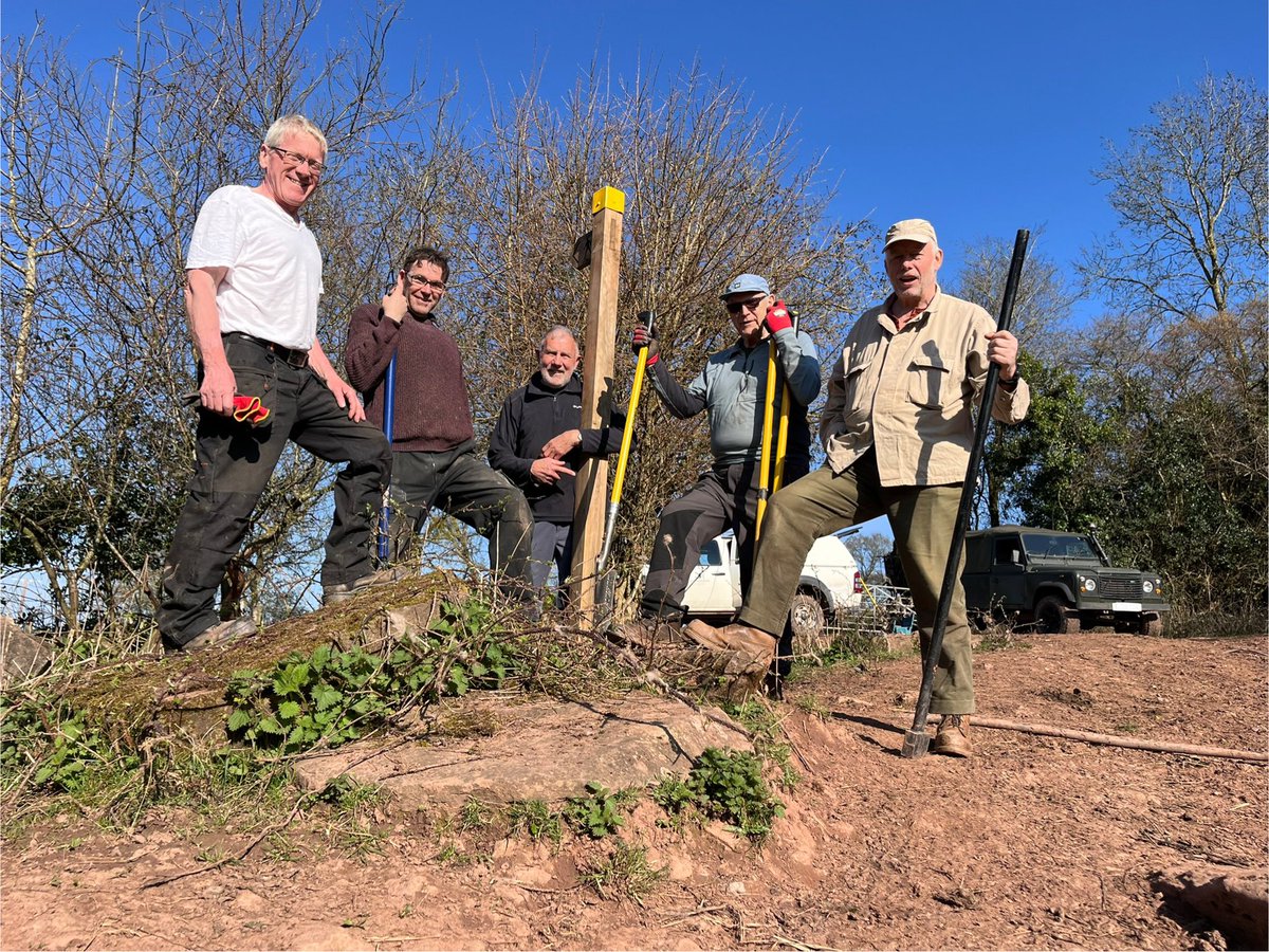 Andrew Stumpf tweet media