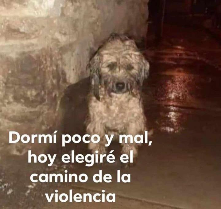 En Júpiter (@en_jupiter_) on Twitter photo 