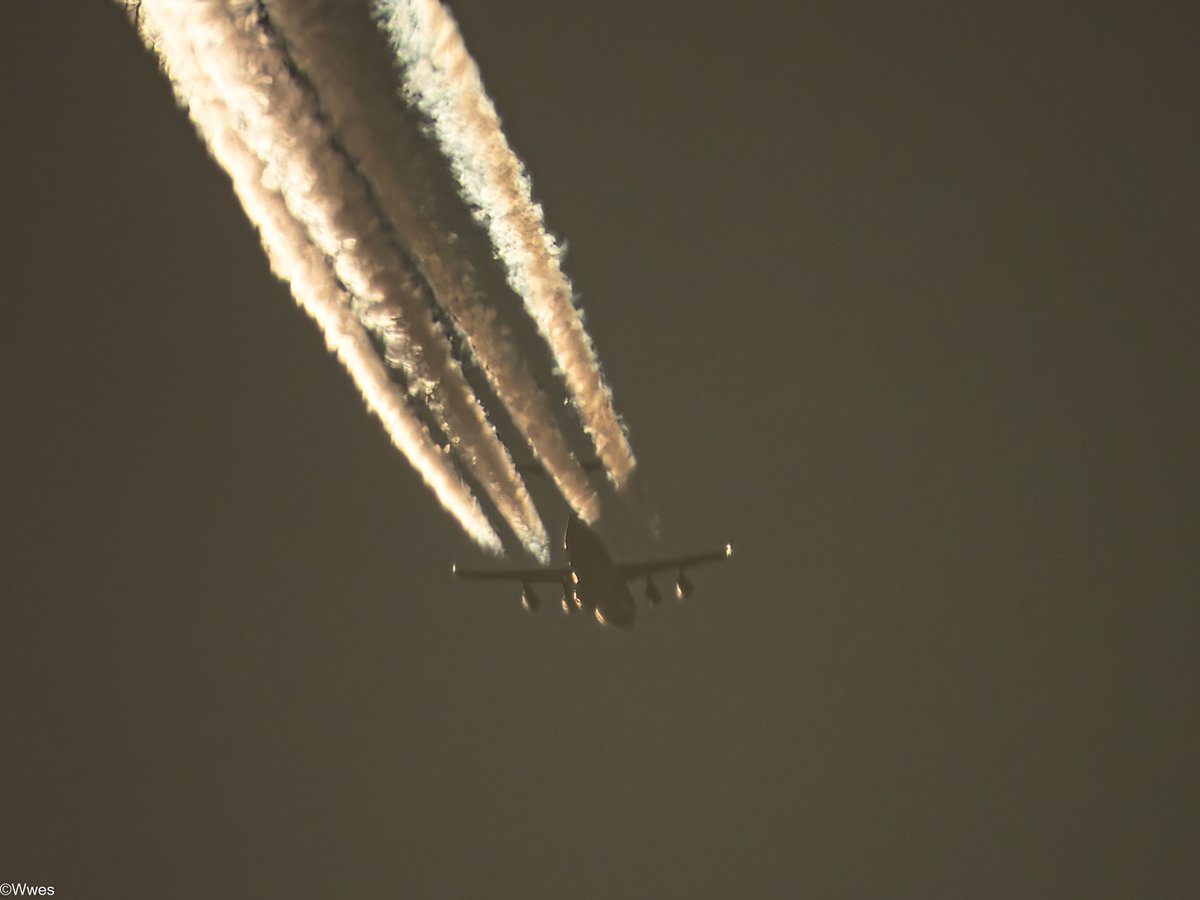 wesleyb1989's tweet photo. March28: first of today (and maby the last idk 😶‍🌫️)
#RCH323 (#Travis)
#AE145F (06-6161) 
#USAF #C17 (#35000ft) 
Boeing C-17A Globemaster III

(#NLspot #Planespotting #Nikon #P950 #P1000 #Aviation #Avgeek #ADSB) https://t.co/NYJlK2orlV