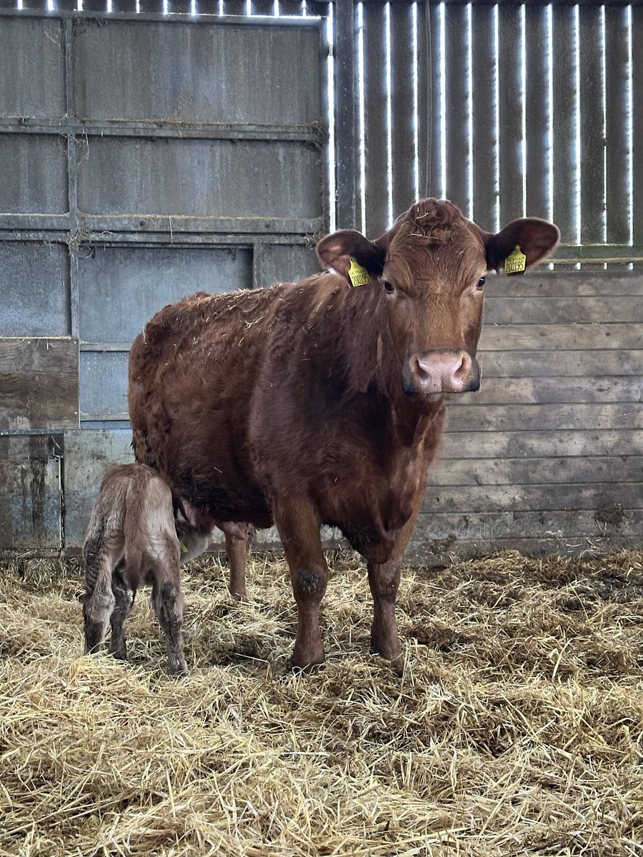 James Wright tweet media