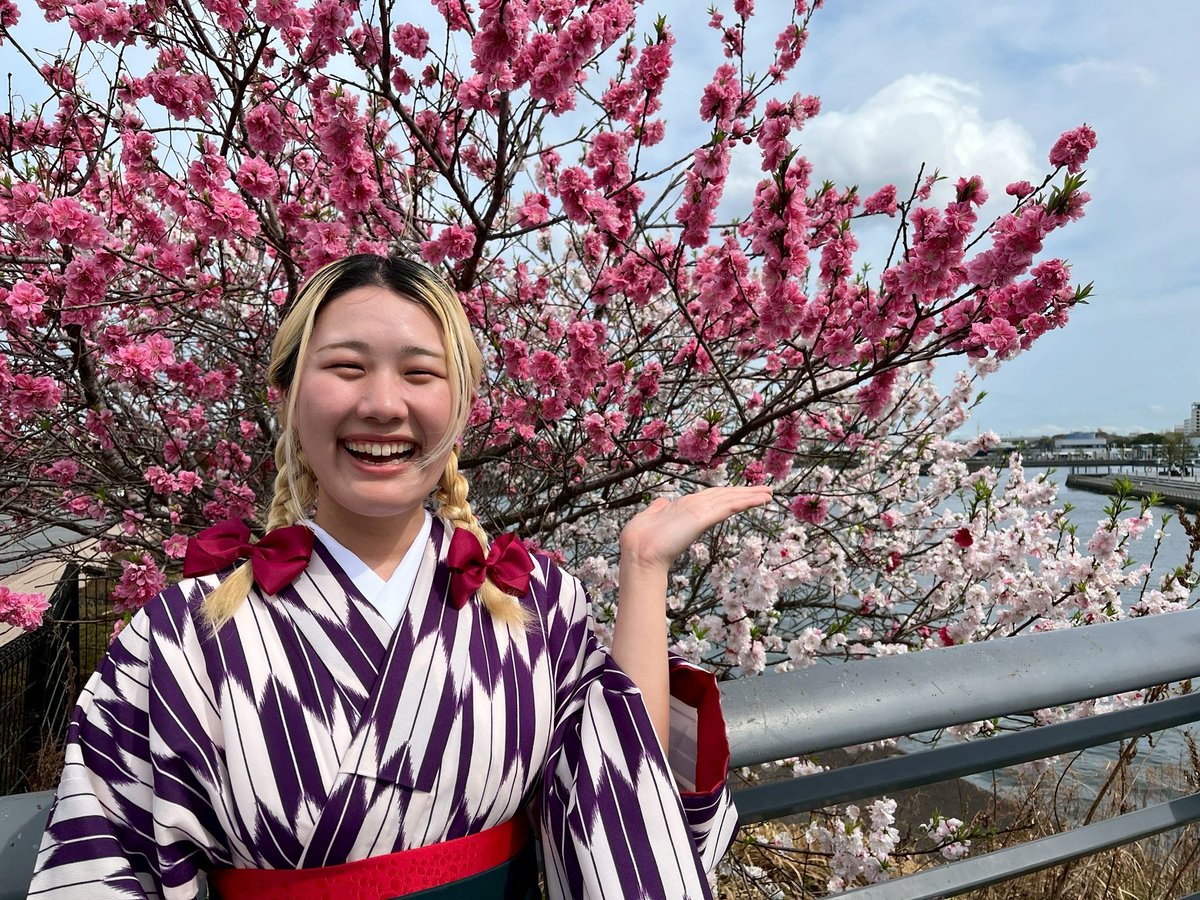ojrmr_dnb's tweet photo. FLAG 📻ありがとうございました！
#横濱ハイカラきもの館 をリポート👘素敵な袴で桜を堪能しました🌸ｴｯﾎｴｯﾎ🎶ハイカラなトビーはいかがですか⁉️💜🤍
FLAGリポーター2年目に突入です🎤これからもよろしくお願いします💪来週は公開生放送！お楽しみに😄 #flag847
radiko：https://t.co/As51S4Scvd https://t.co/6RKr42Iijp