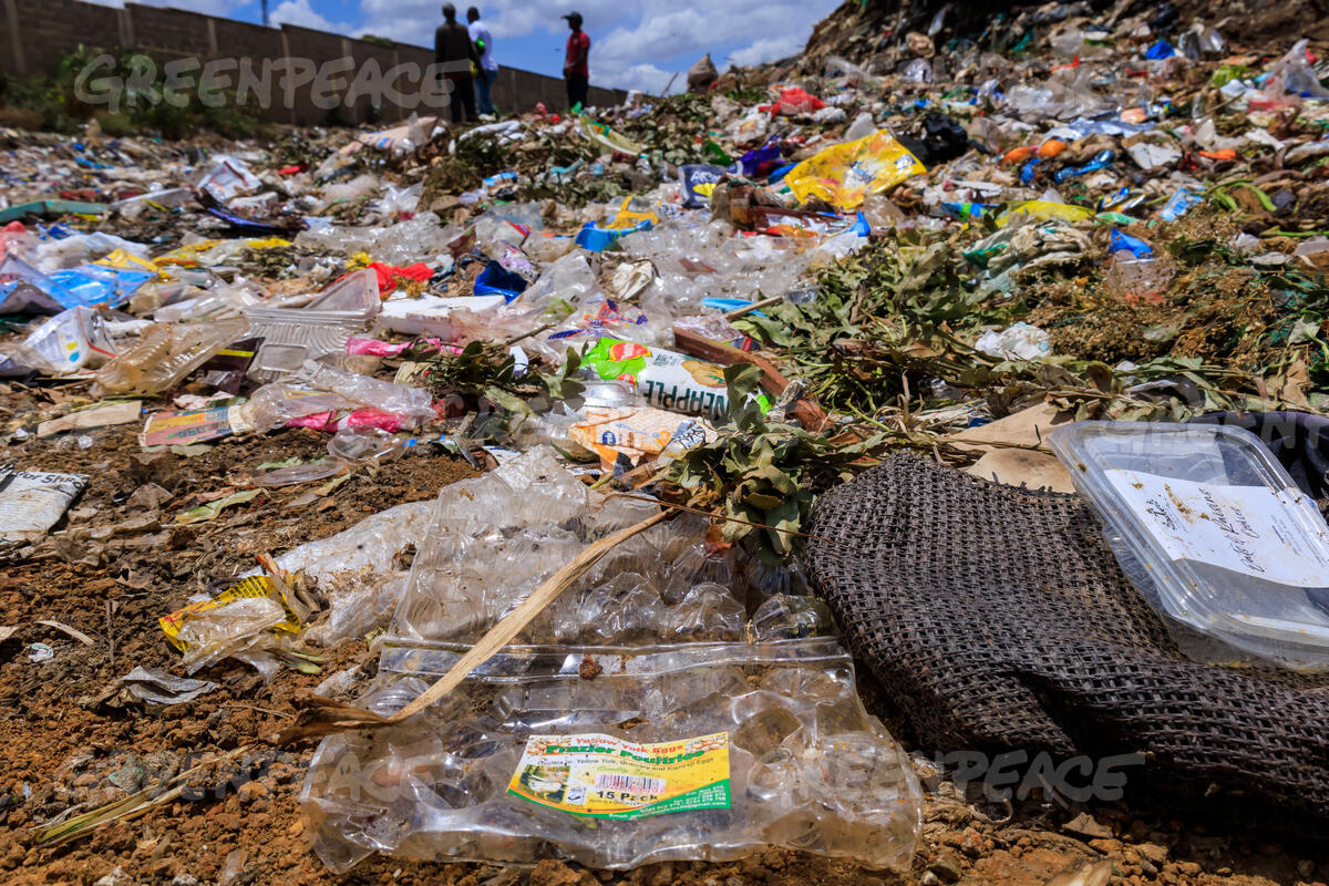 rispersebastia1's tweet image. Roughly 1 million marine creatures will die in the next ten years as a result of plastic pollution .This is putting endangered ocean species, such as hawksbill turtles, whale sharks, and sea otters, at particular risk of being wiped out. pages.greenpeaceafrica.org/global-plastic…
#RefillReuseRocks