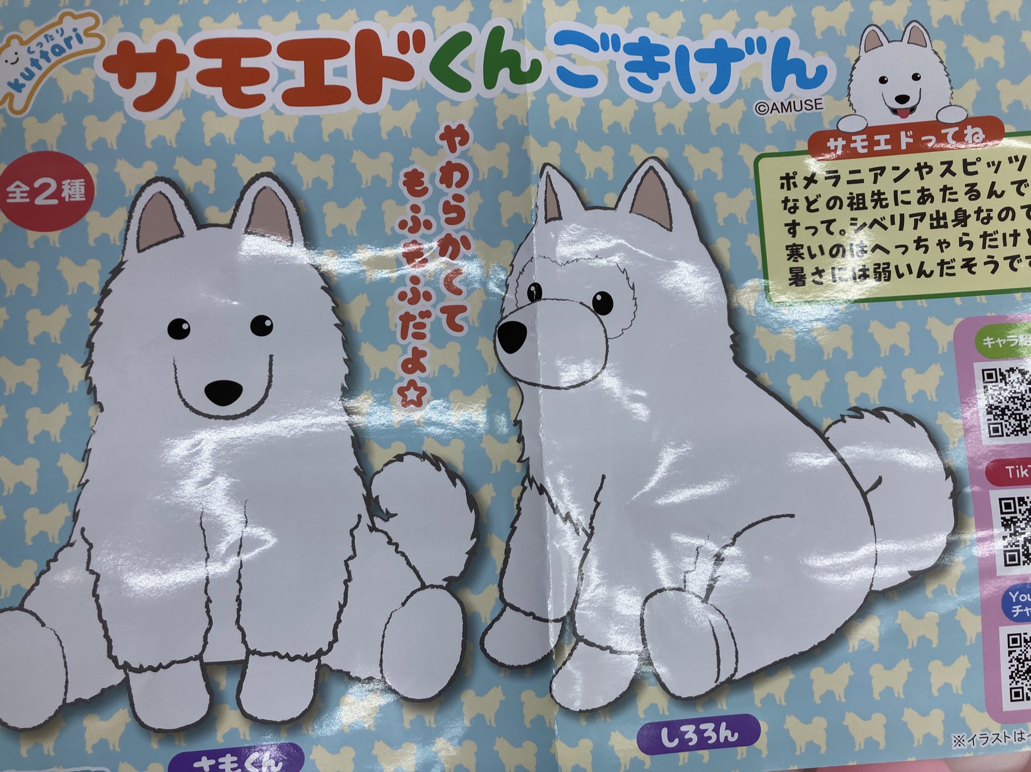 くったりサモエドくん ☆ごきげんウルトラBIG ぬいぐるみ