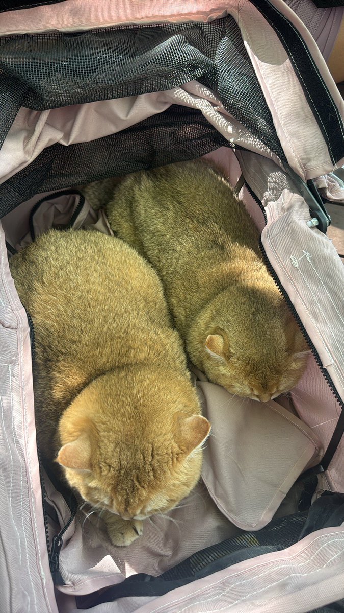 อุ้มลูก10โลลงบันได ไม่คิดชีวิต นี่สินะ คำว่าแม่