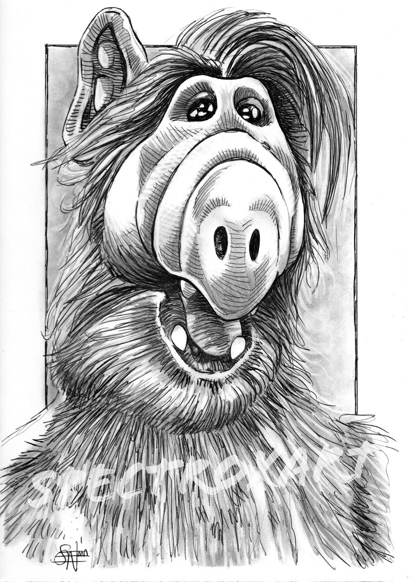 "Haaa! I kill me." Alf (ALF).

#ALF #americansitcom #melmac #80stv #80stvshow #penandink #artcommission 

A4 Ball-Point Pen &amp; Pencil.

ebay.co.uk/usr/spectroxart
spectroxart.etsy.com
