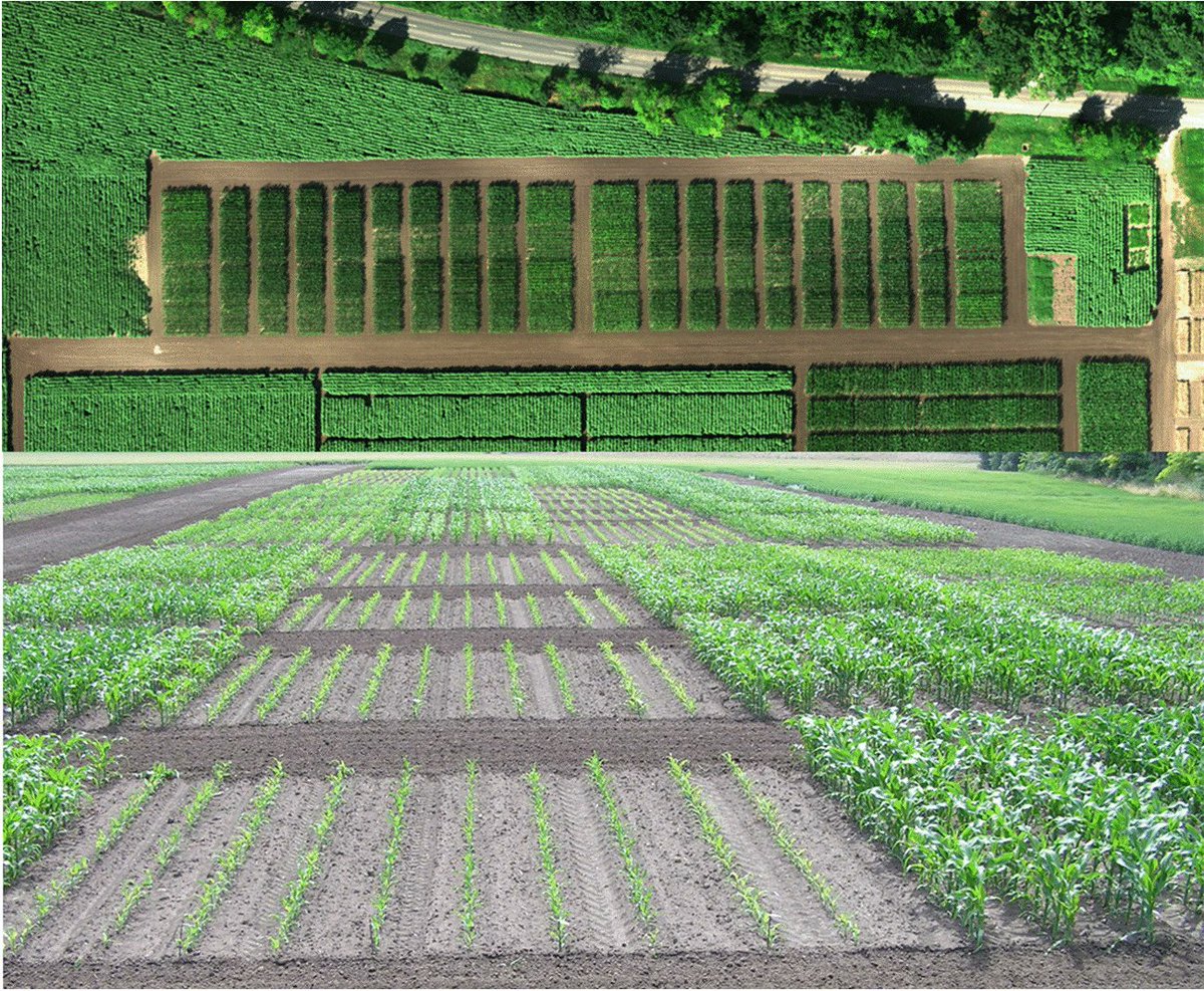 ASD_INRAE's tweet image. Pokovai, K., Piepho, HP., Hartung, J. et al. Climate change-related lessons learned from a long-term field experiment with maize. Agron. Sustain. Dev. 45, 19 (2025).
doi.org/10.1007/s13593…
#PlantingDate #AdaptationStrategies