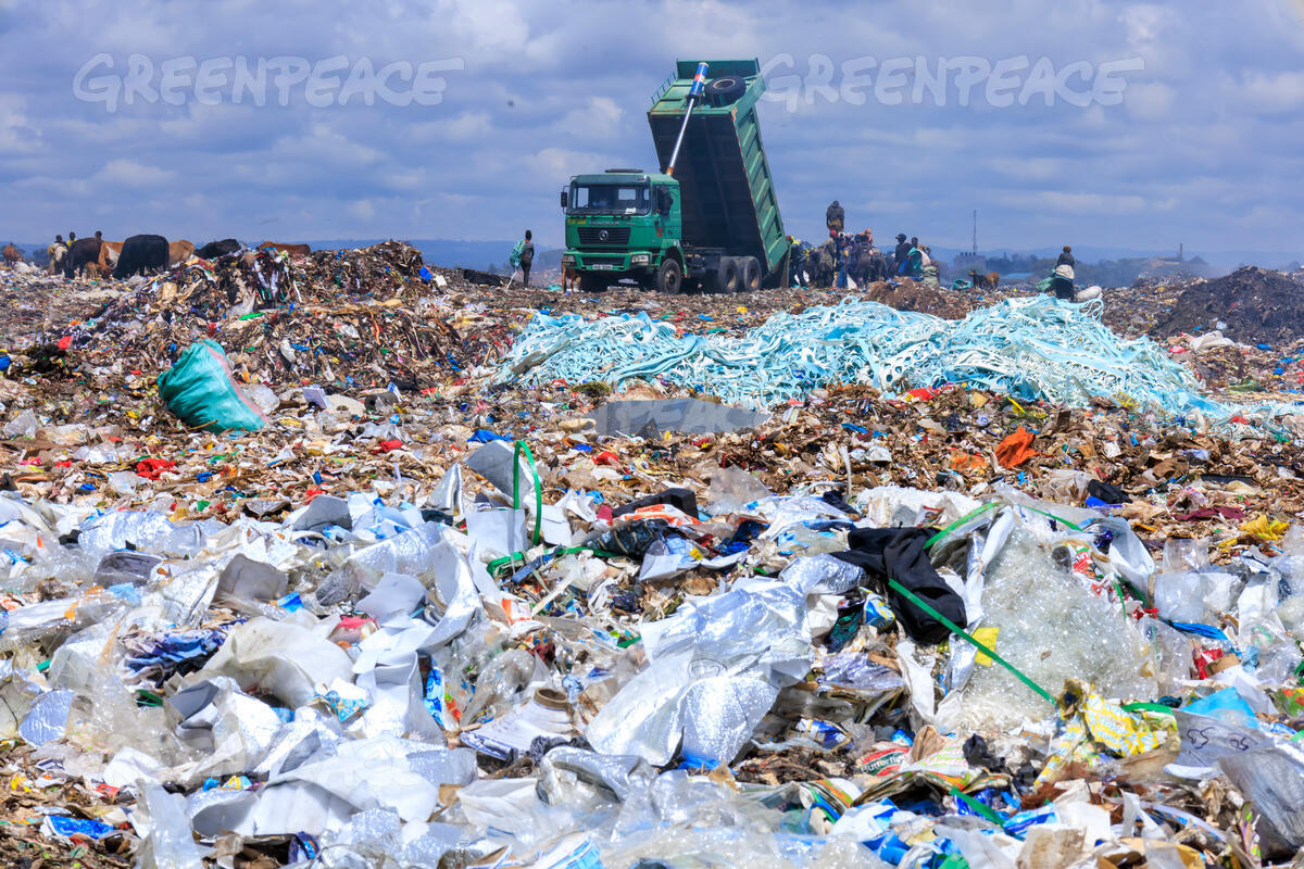 Stephenstephano's tweet image. African can lead World in Beating Plastic Polution 
pages.greenpeaceafrica.org/global-plastic…
.@_AfricanUnion
#ZeroWasteAfrica
#RefillReuseRocks
#BreakFreeFromPlastics