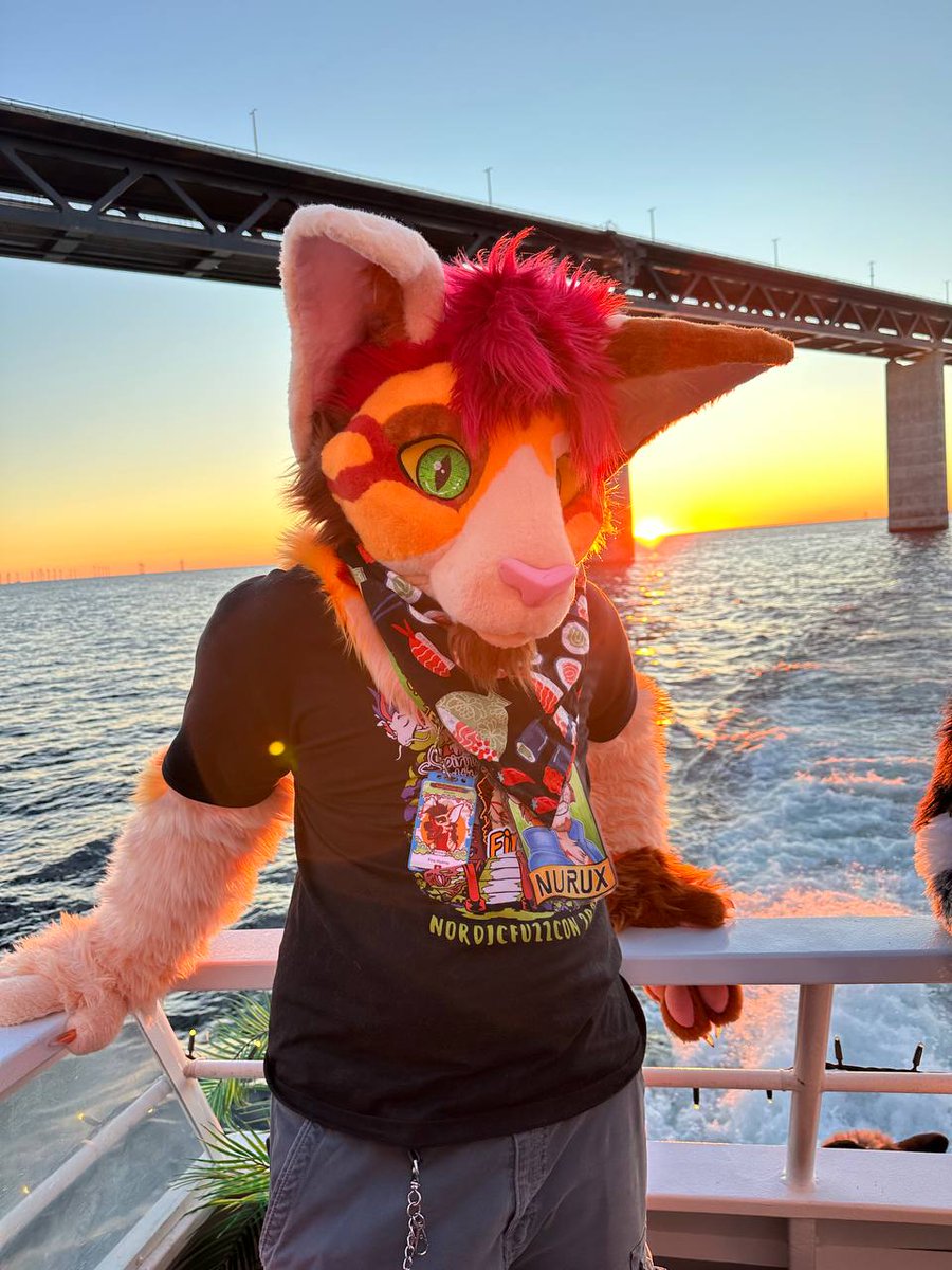 Behold the yeen who is a bean tweet media