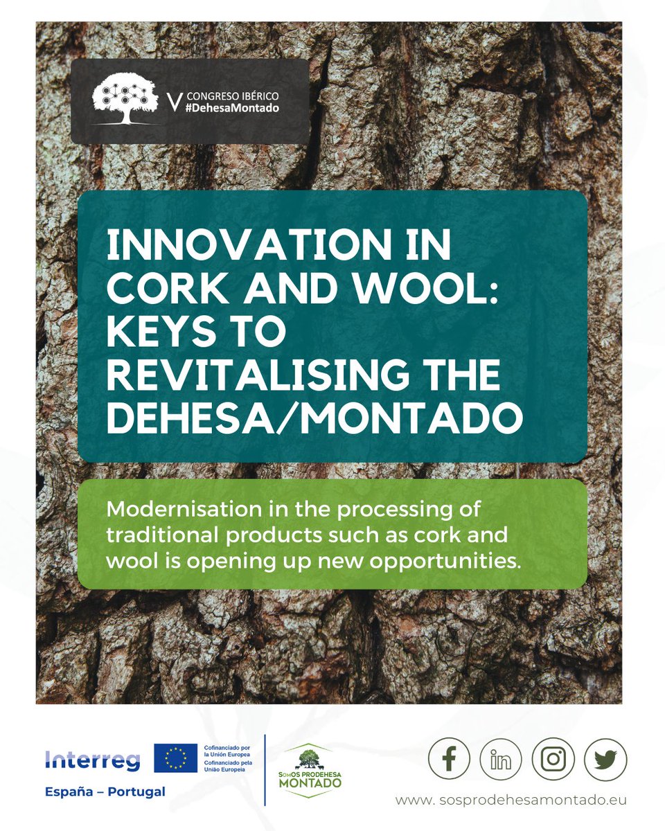 sosprodehesa's tweet image. 🌱 Innovation in cork and wool: Keys to revitalising the dehesa
The 5th Iberian Dehesa and Montado Congress showed how modernisation in the processing of traditional products can generate added value:
📢 Relive the conference website! 👉 congresodehesamontado.com