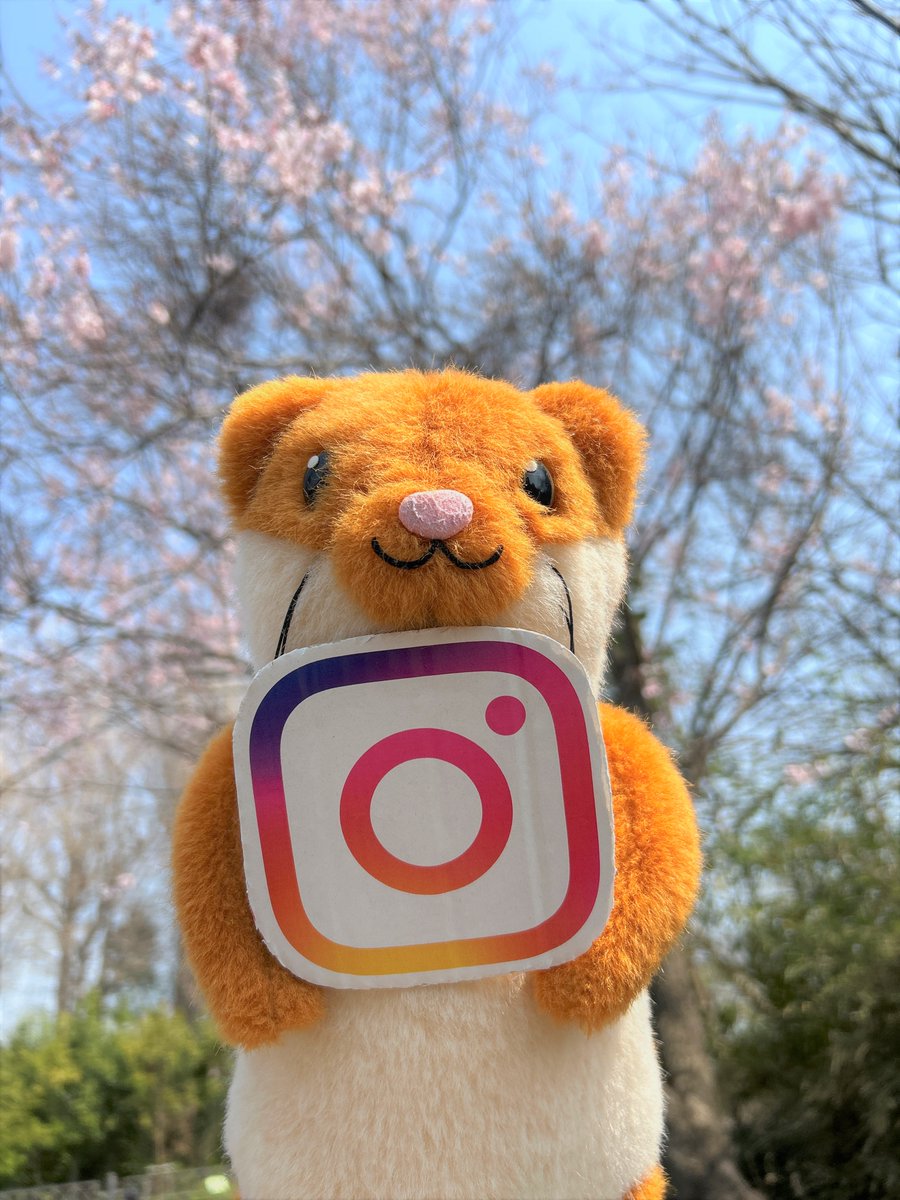 横浜市栄区役所 (@sakae_yokohama) / Posts / X