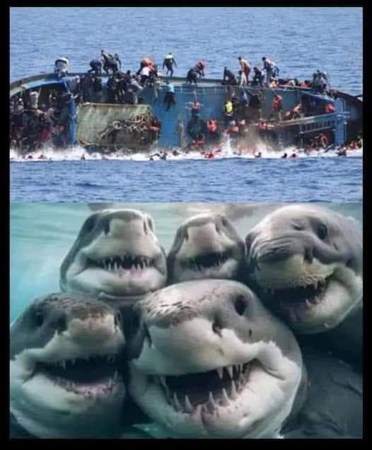 Boner the Barbarian ๐ฆ๐บ ๐ฉ๐ช (@bitemecommies) on Twitter photo Conductor Train. 81k+ Followers! TYVM!
<a href="/bdonesem/">๐ ๐๐ฑ๐ฒ๐ผ๐น๐ฎ๐ป ๐ ( โ๐๐ต ) ๐</a>
<a href="/MarilynLavala/">โ๐บ๐ธMarilyn Lavala๐บ๐ธโโ #CCOTโฆ๐โ๏ธ๐โก๏ธโฎ๏ธ๐</a>
<a href="/CasanovaX8X/">Casanova</a>
<a href="/45mx_7/">Maximus</a>
<a href="/ToniLL22/">Toni</a>
<a href="/Lauria1960/">๐ฆจ Uncle Skunkle ๐ฆจ</a>
<a href="/TomaisMac/">NoneOfYourBusiness2 ๐</a>
<a href="/LaughTrackItsT1/">Laugh Track ...That's True!</a>
<a href="/TheRebeluniter/">Stinkerbelle the very rebel Patriot!!!!!#Texit</a>
<a href="/satansradio666/">MAGA ROCK GAINS</a>
<a href="/pixiebell2022/">Eileen K Southern Sass๐๐๐๐ฏ๐</a>
<a href="/Eb67735B/">e b</a>
<a href="/UrreaAguas/">Raquel Uribe arias</a>
<a href="/827js/">Jeff pontz</a>
<a href="/thomas4llc/">Brianbuck2</a>
<a href="/Wallpaper4eva/">Slowly But Surely</a>
<a href="/goldisez/">Goldi ๐บ</a>
<a href="/exposin_lies/">exposin_lies</a>
<a href="/WhalenMona/">Miss Mona</a> Conductor Train. 81k+ Followers! TYVM!
<a href="/bdonesem/">๐ ๐๐ฑ๐ฒ๐ผ๐น๐ฎ๐ป ๐ ( โ๐๐ต ) ๐</a>
<a href="/MarilynLavala/">โ๐บ๐ธMarilyn Lavala๐บ๐ธโโ #CCOTโฆ๐โ๏ธ๐โก๏ธโฎ๏ธ๐</a>
<a href="/CasanovaX8X/">Casanova</a>
<a href="/45mx_7/">Maximus</a>
<a href="/ToniLL22/">Toni</a>
<a href="/Lauria1960/">๐ฆจ Uncle Skunkle ๐ฆจ</a>
<a href="/TomaisMac/">NoneOfYourBusiness2 ๐</a>
<a href="/LaughTrackItsT1/">Laugh Track ...That's True!</a>
<a href="/TheRebeluniter/">Stinkerbelle the very rebel Patriot!!!!!#Texit</a>
<a href="/satansradio666/">MAGA ROCK GAINS</a>
<a href="/pixiebell2022/">Eileen K Southern Sass๐๐๐๐ฏ๐</a>
<a href="/Eb67735B/">e b</a>
<a href="/UrreaAguas/">Raquel Uribe arias</a>
<a href="/827js/">Jeff pontz</a>
<a href="/thomas4llc/">Brianbuck2</a>
<a href="/Wallpaper4eva/">Slowly But Surely</a>
<a href="/goldisez/">Goldi ๐บ</a>
<a href="/exposin_lies/">exposin_lies</a>
<a href="/WhalenMona/">Miss Mona</a>