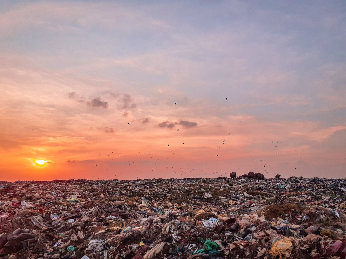 Tomorrow lies in our hands.lets embrace sustainable practices and reduce plastic pollution.its not just about us,,its about the future generation too!
#RefillReuseRocks
#ZeroWasteAfrica
#BreakFreeFromPlastics
pages.greenpeaceafrica.org/global-plastic…
