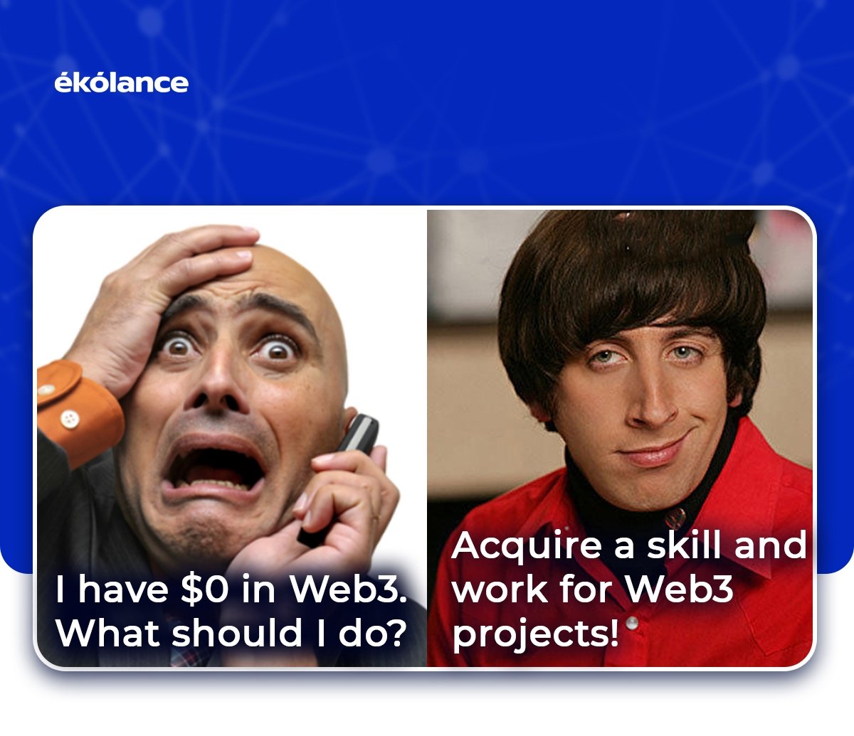 EKOLANCE tweet media