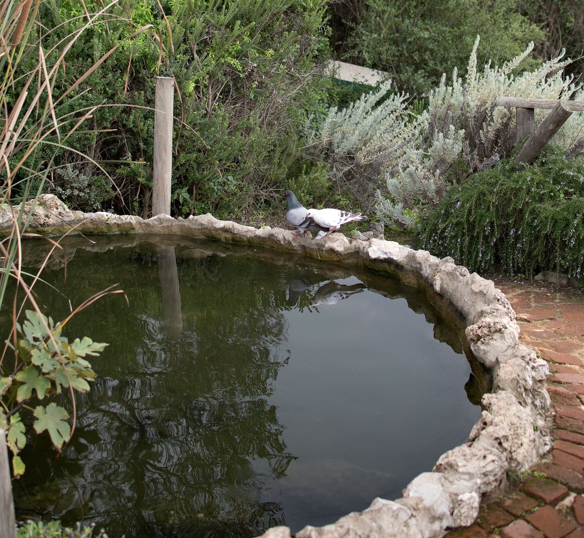 Grateful for all the blessings, big and small. Here’s to another year of growth, faith, and progress. HAPPY BIRTHDAY TO ME🍻