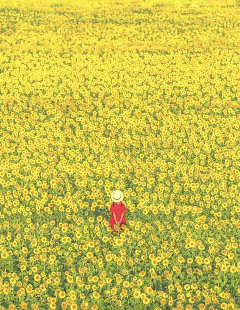 너무 뜨거워서 다른 사람이 부담스러워 하지도 않고
너무 차가워서 다른 사람이 상처 받지도 않는 온도는

‘따뜻함’이라는 온도란 생각이 든다.

<마음속의 온도는 몇도일까요?> 정여민

오늘 당신의 마음속 온도는 몇도일까요?
쓸쓸하지 않고 따뜻했으면 좋겠습니다.