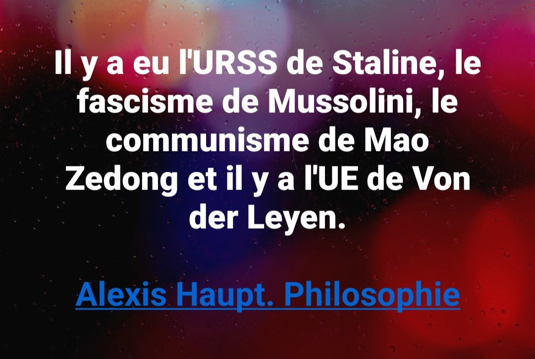 Merci à ceux qui font des montages de mes tweets.