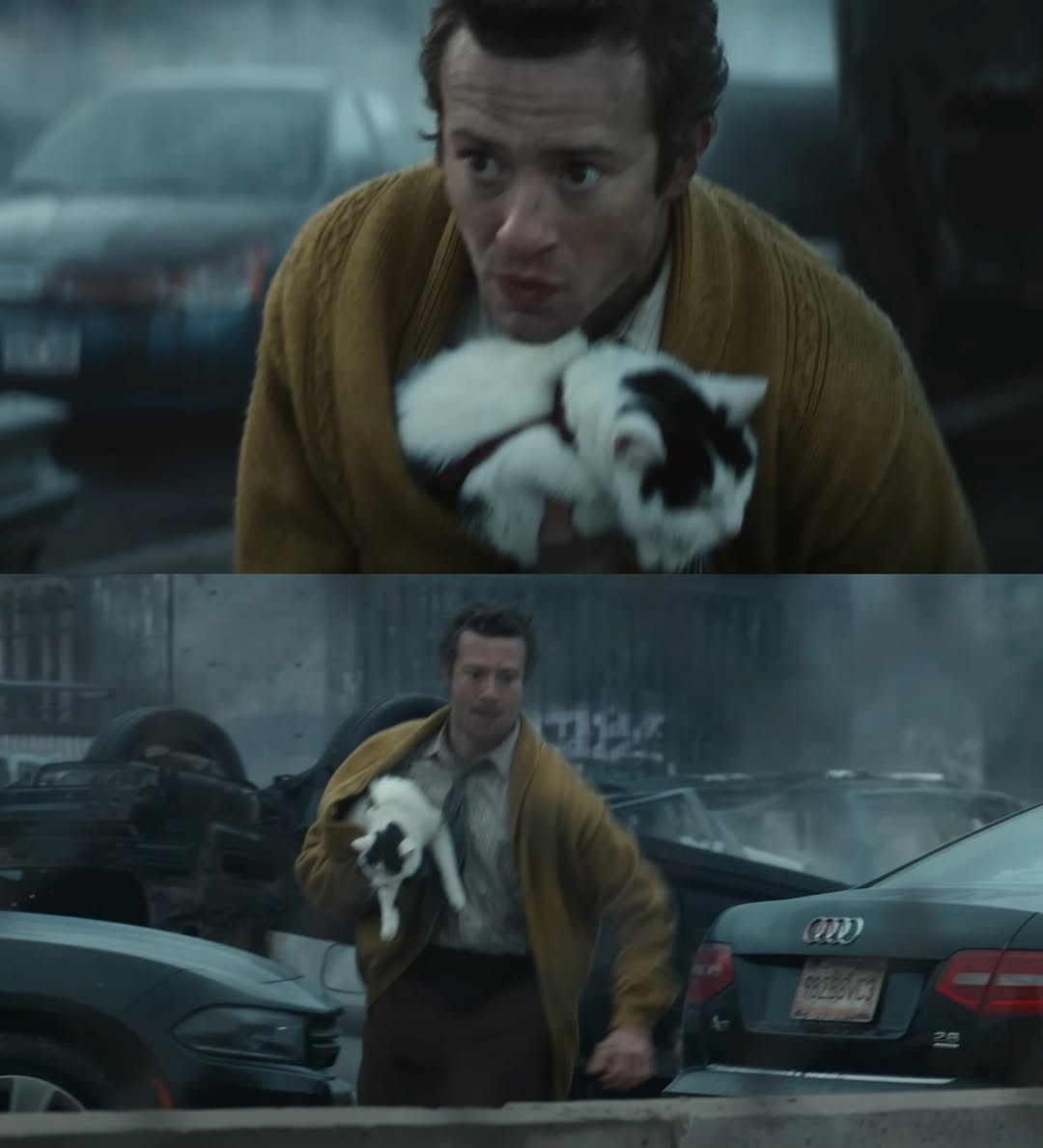 สิ่งแรกที่สำคัญที่สุด
#แผ่นดินไหว