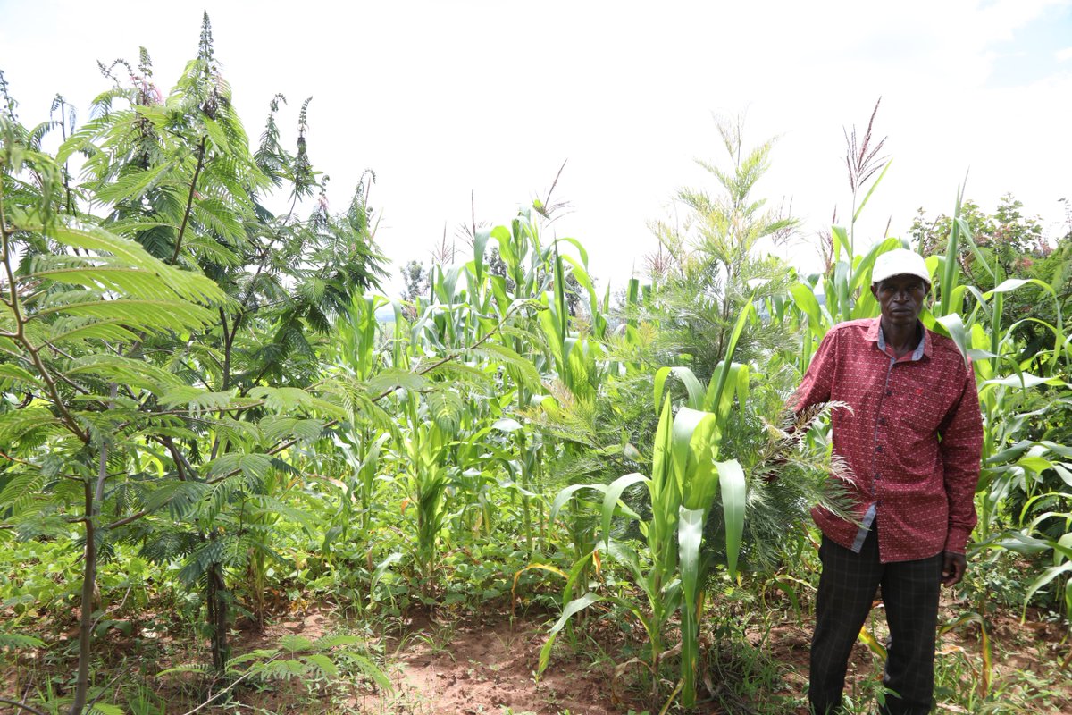 AREECA celebrates community-led success in restoring degraded landscapes
March 27th, 2025 – Kigali, Rwanda – A significant milestone in Rwanda’s Forest Landscape Restoration (FLR) journey was reached in Kirehe and Nyagatare Districts.
Read more 👇👇👇
rwarri.org/news/areeca-ce…
