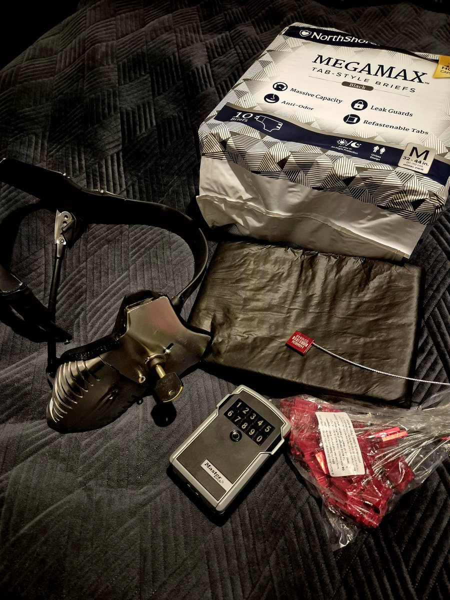 LockedShiba's tweet photo. Perfect gear, but somting is missing..🤔🤔 https://t.co/g99Hkuwbeq