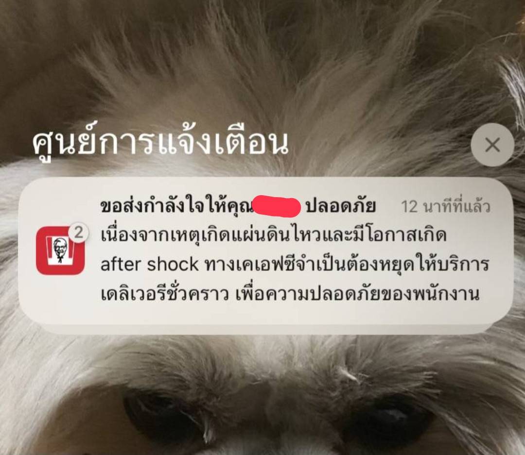skongki2000's tweet photo. KFC.ทำงานไวกว่ารัฐบาลอิ๊งเฟียส 😭😭

#แผ่นดินไหว
#ตึกถล่ม
#เชียงใหม่ https://t.co/CgxS7x3ZWG