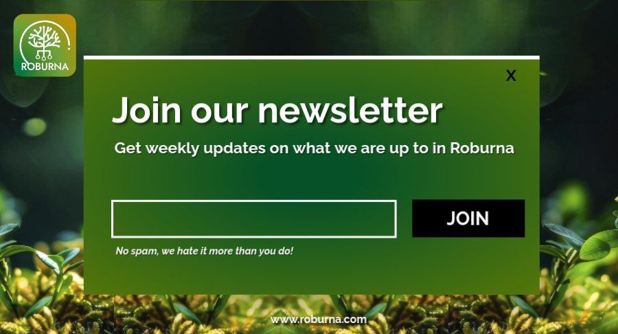 🌱 Your weekly Roburna update is just a click away!
Subscribe to our newsletter and get the latest news and insights delivered every weekend.
📧 Join here: roburna.com

Stay connected with the Roburna ecosystem—sign up today!