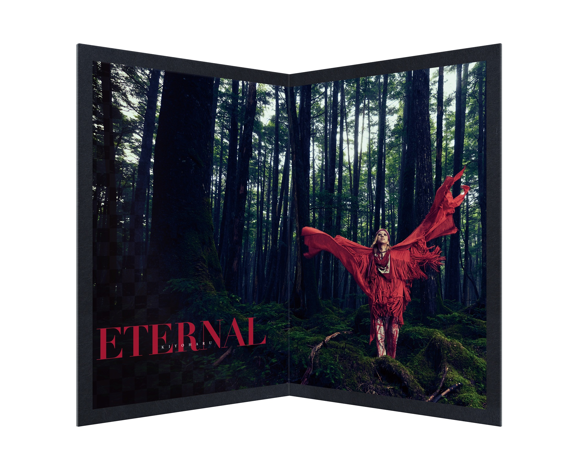 清春『ETERNAL』リリース記念 ダブルアクリルスタンドパネル