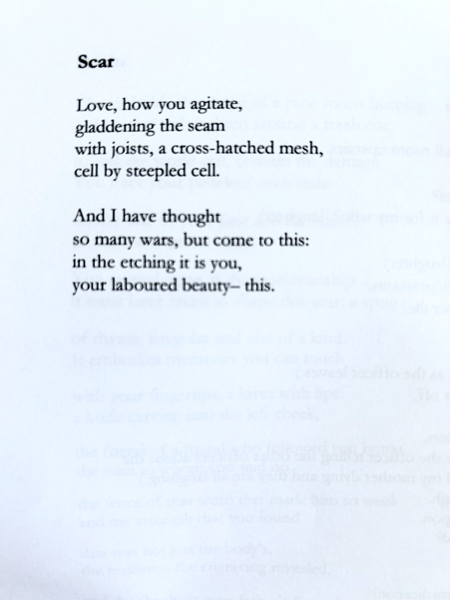 for anyone who has a scar they love/hate 🖤
(from my pamphlet Fire in the Oubliette)
