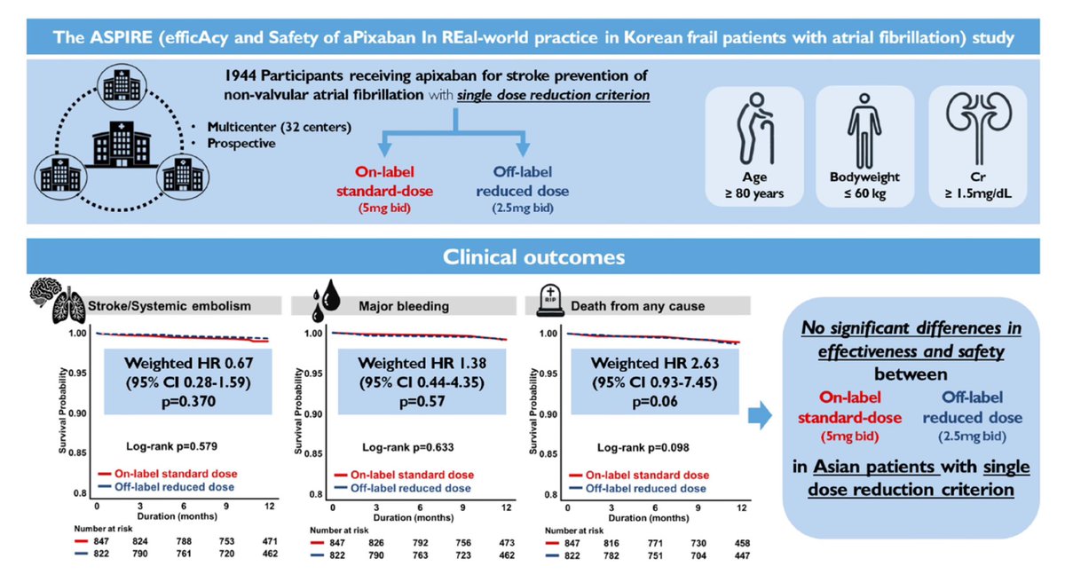pyrpyris's tweet photo. #Apixaban outcomes in #AF patients with single dose-reduction criterion
📍At 1 year, ⬇️-dose apixaban showed no significant differences in #ischemic and #bleeding outcomes
https://t.co/hWQrVr2KHt
@EditorEHJCVP @ESC_Journals @AgewallStefan
#CardioX #cardiology #ehjcvp #ESCYoung https://t.co/YNwXWLZuRB