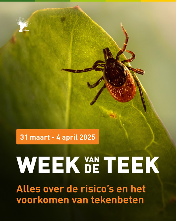 🌿 Werk je in het groen of ben je graag buiten in de natuur? Dan is het belangrijk om meer te weten over de risico’s van teken en hoe je tekenbeten kunt voorkomen. 🕷️

📅 Aanstaande maandag start de Week van de teek! 👉 bit.ly/3OrGBp8 voor tips, info en materialen.
