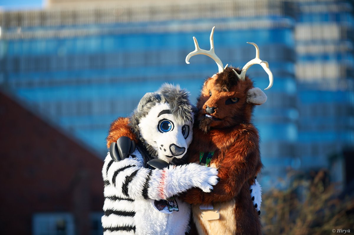 Me and my beautiful boyfriend <a href="/WhhiteLionn/">WhiteLion.</a> in sweden ❤️❤️❤️❤️❤️❤️❤️ #NFC2025 
🦌 <a href="/DeerLeroy/">LeroyTheDeer 🦌🇩🇪 @NFC</a> 
🦁 <a href="/WhhiteLionn/">WhiteLion.</a> 
📷 <a href="/HiryuTheDragon/">Hiryū</a> 
🪡 <a href="/KegawaCreation/">Kegawa Creation</a> 
Happy #FursuitFriday everyone 😁