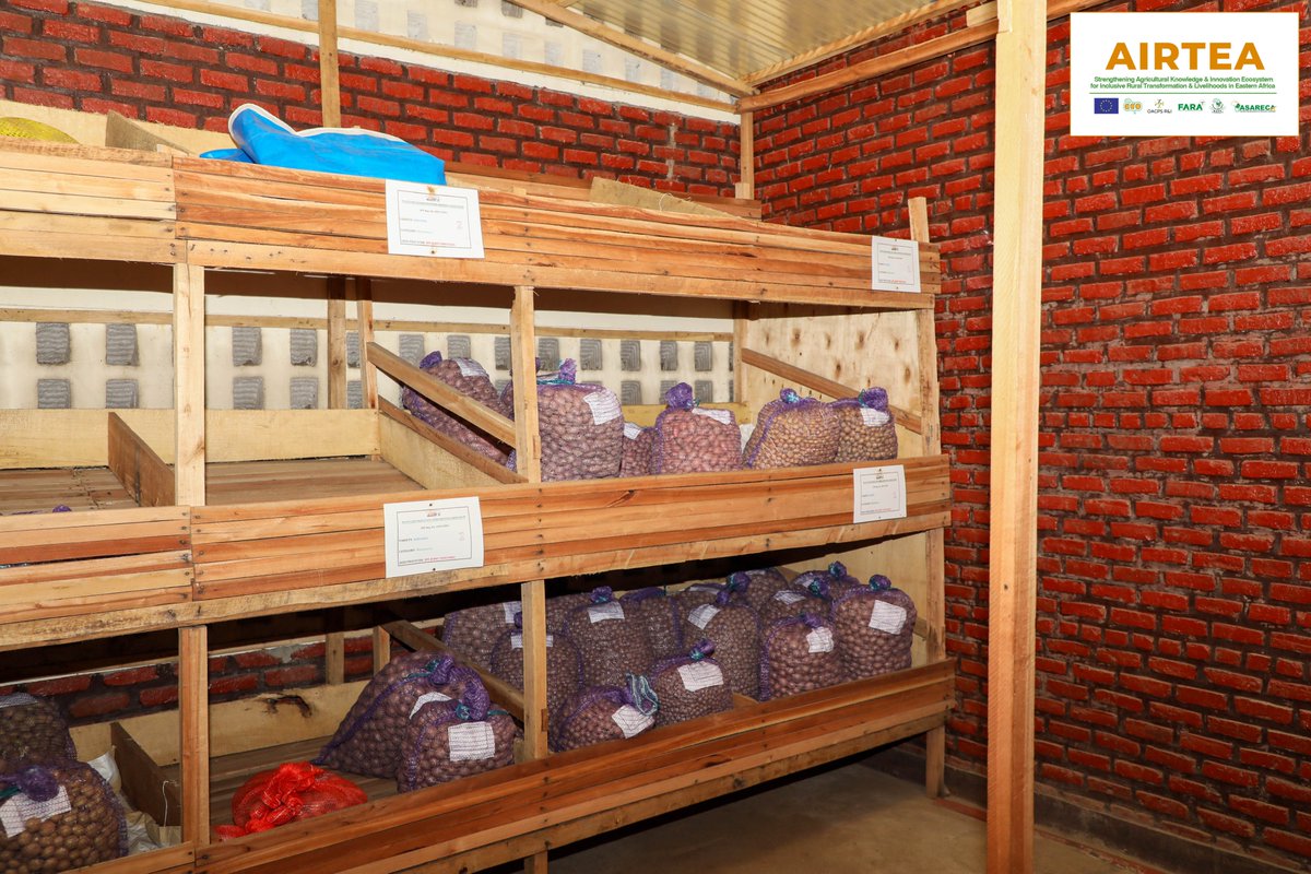 SPF-Ikigega (@spf_ikigega) on Twitter photo AIRTEA Projects Third-party closeout and Capitalization Meeting at Best View Hotel ,Musanze , Rwanda 24th-28 TP002 is transforming Rwanda’s potato seed sector by enhancing smallholder farmers' access to improved new varieties released by <a href="/RwandaAgriBoard/">Rwanda Agriculture & Animal Resources Devpt Board</a> and <a href="/spf_ikigega/">SPF-Ikigega</a>. AIRTEA Projects Third-party closeout and Capitalization Meeting at Best View Hotel ,Musanze , Rwanda 24th-28 TP002 is transforming Rwanda’s potato seed sector by enhancing smallholder farmers' access to improved new varieties released by <a href="/RwandaAgriBoard/">Rwanda Agriculture & Animal Resources Devpt Board</a> and <a href="/spf_ikigega/">SPF-Ikigega</a>.