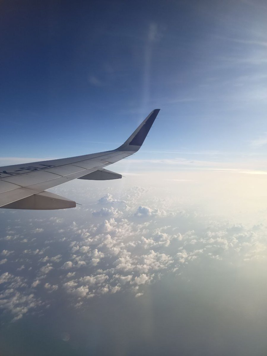 𝐤𝐚𝐞𝐥 tweet media