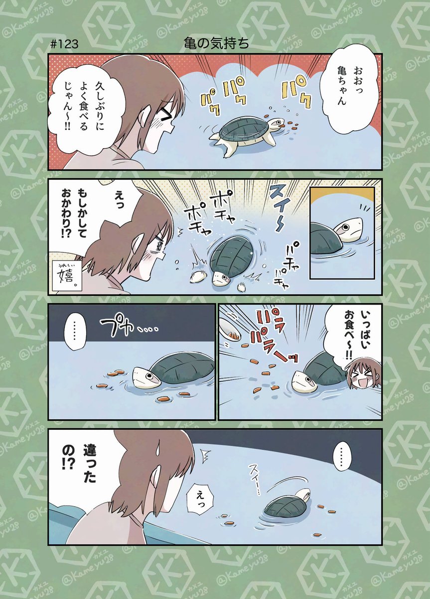 カメユ│亀と絵と漫画 (@kameyu28) / X