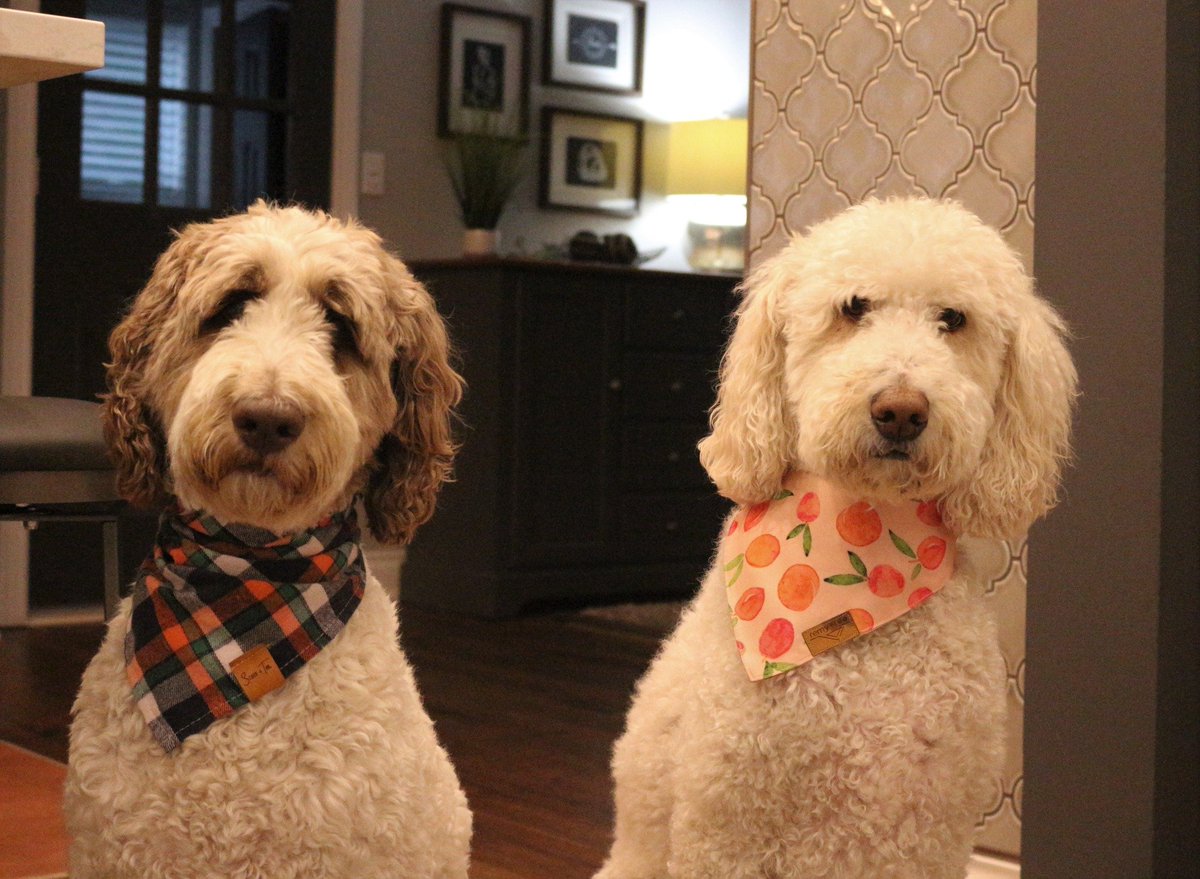 Nessa: Mom's going out.
Macie: Yeah, I know. She put her bra on...
#FridayVibes