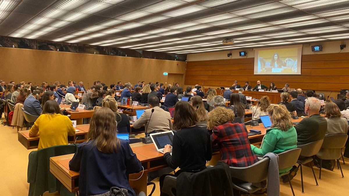 The first panel discussion to ever be sponsored by the syrian government addressing justice and accountability and ways to engage UN mechanisms.
With attendance of over 28 states representatives and several UN mechanisms.