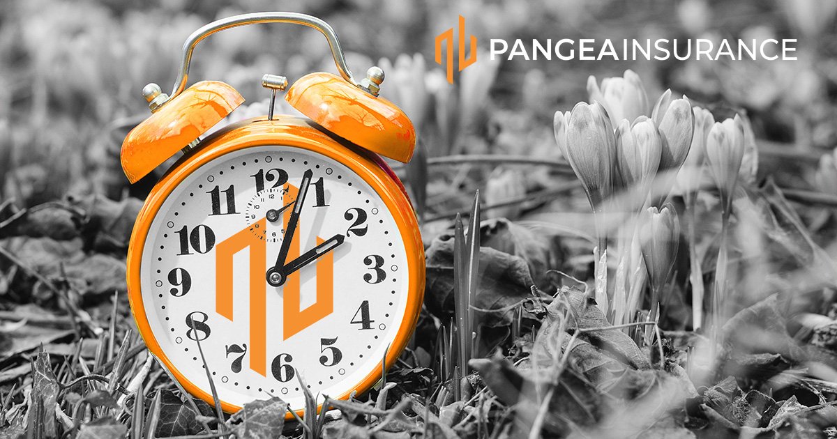 This weekend, it's time to #Spring forward! 🌷 Don't forget to change your clocks everyone - the longer days are on the way ⏰