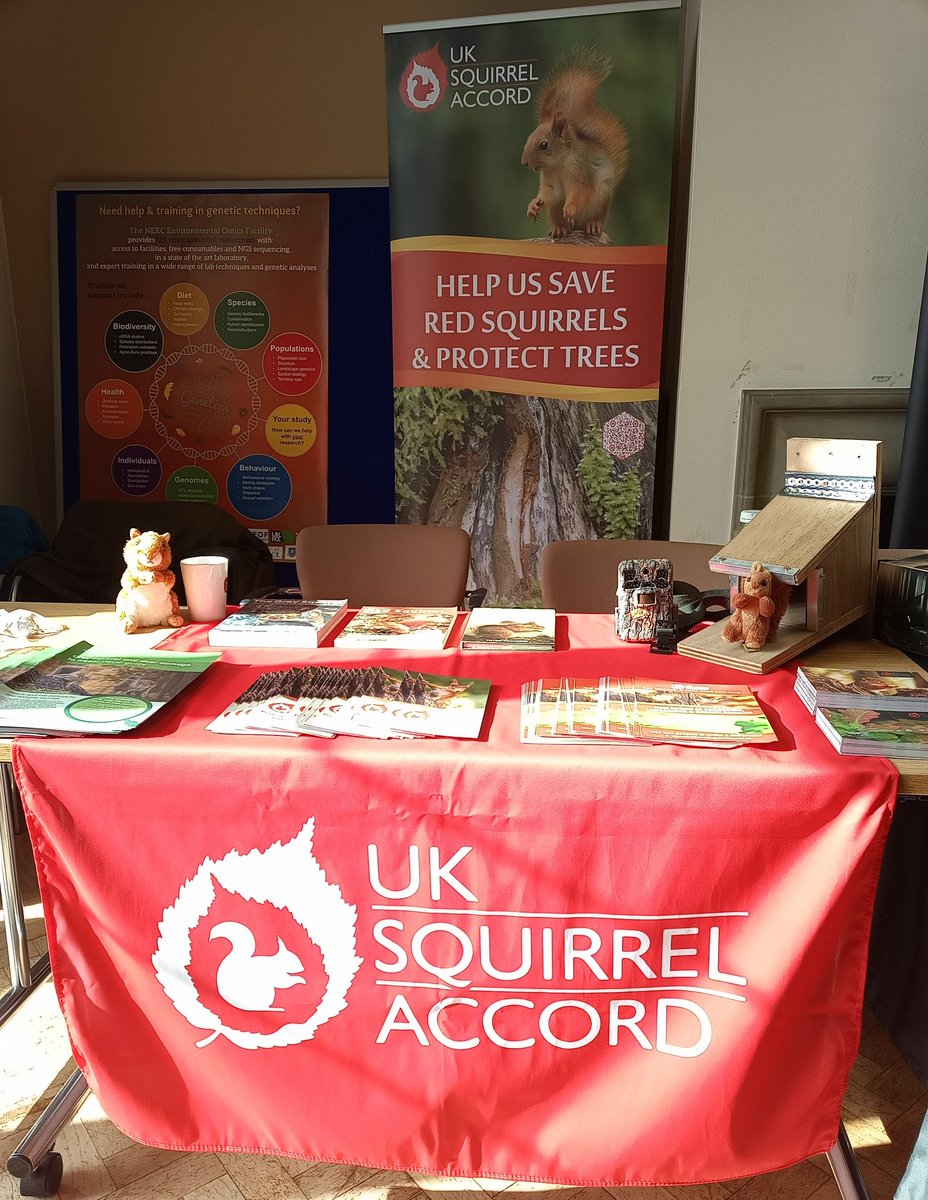 UK Squirrel Accord (@squirrelaccord) on Twitter photo Excited to be <a href="/Mammal_Society/">Mammal Society</a> conference in #Bangor. Looking forward to <a href="/BethRSmith_/">Beth Smith</a> talk on our work to develop a recovery strategy for #endangered #redsquirrels in England. <a href="/NaturalEngland/">Natural England</a> funded project working with <a href="/OfficialZSL/">ZSL</a> & stakeholders.
#wildlife #FridayMorning Excited to be <a href="/Mammal_Society/">Mammal Society</a> conference in #Bangor. Looking forward to <a href="/BethRSmith_/">Beth Smith</a> talk on our work to develop a recovery strategy for #endangered #redsquirrels in England. <a href="/NaturalEngland/">Natural England</a> funded project working with <a href="/OfficialZSL/">ZSL</a> & stakeholders.
#wildlife #FridayMorning