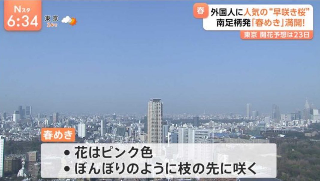 Nスタ、フライング公開されてる
#Nスタ　#TBS