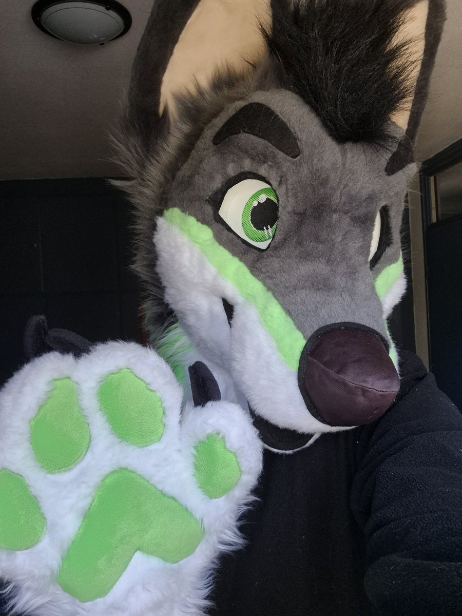 Happy #FursuitFriday cuties!